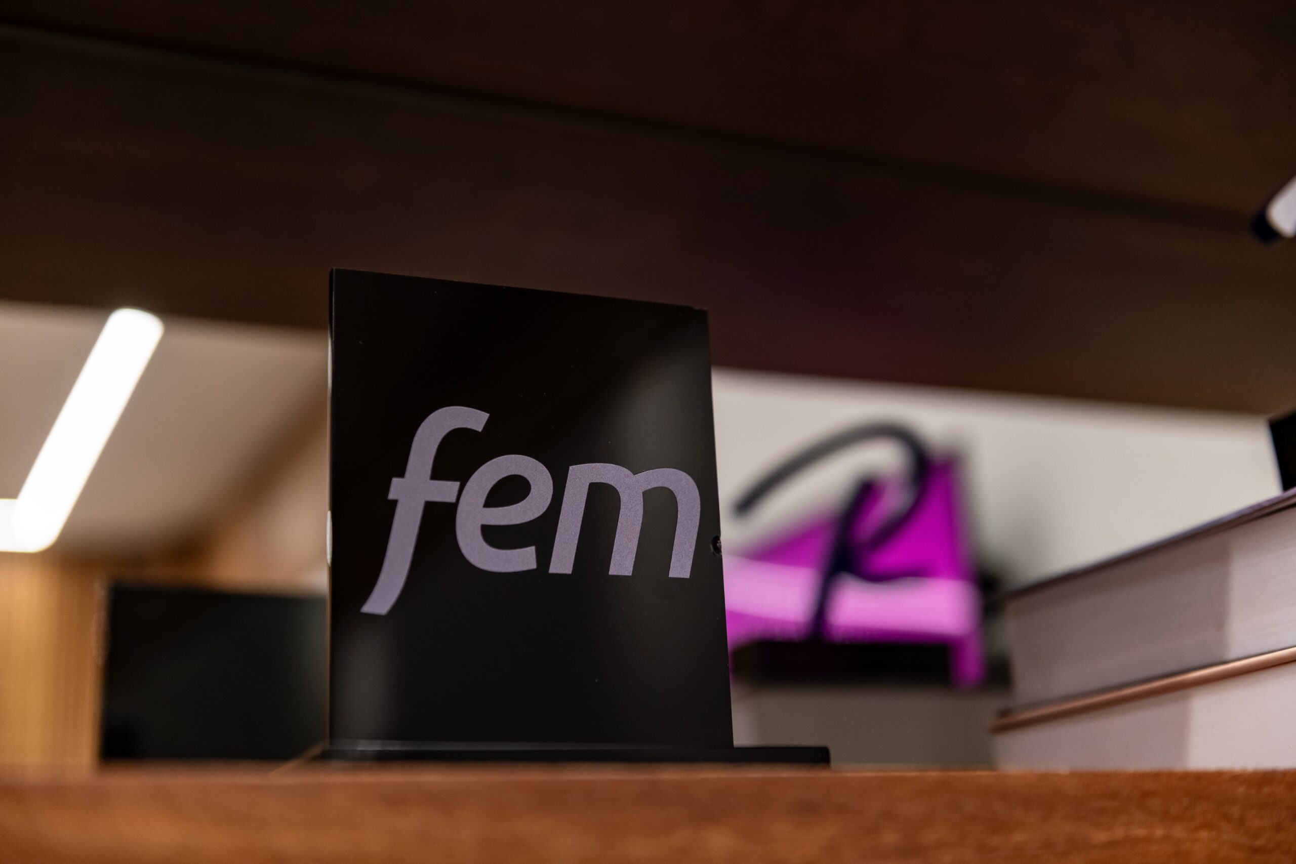 Fem Clinica